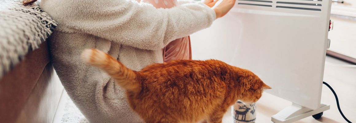 Person wärmt sich an Heizung, Katze sitzt daneben